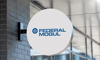 Federal Mogul